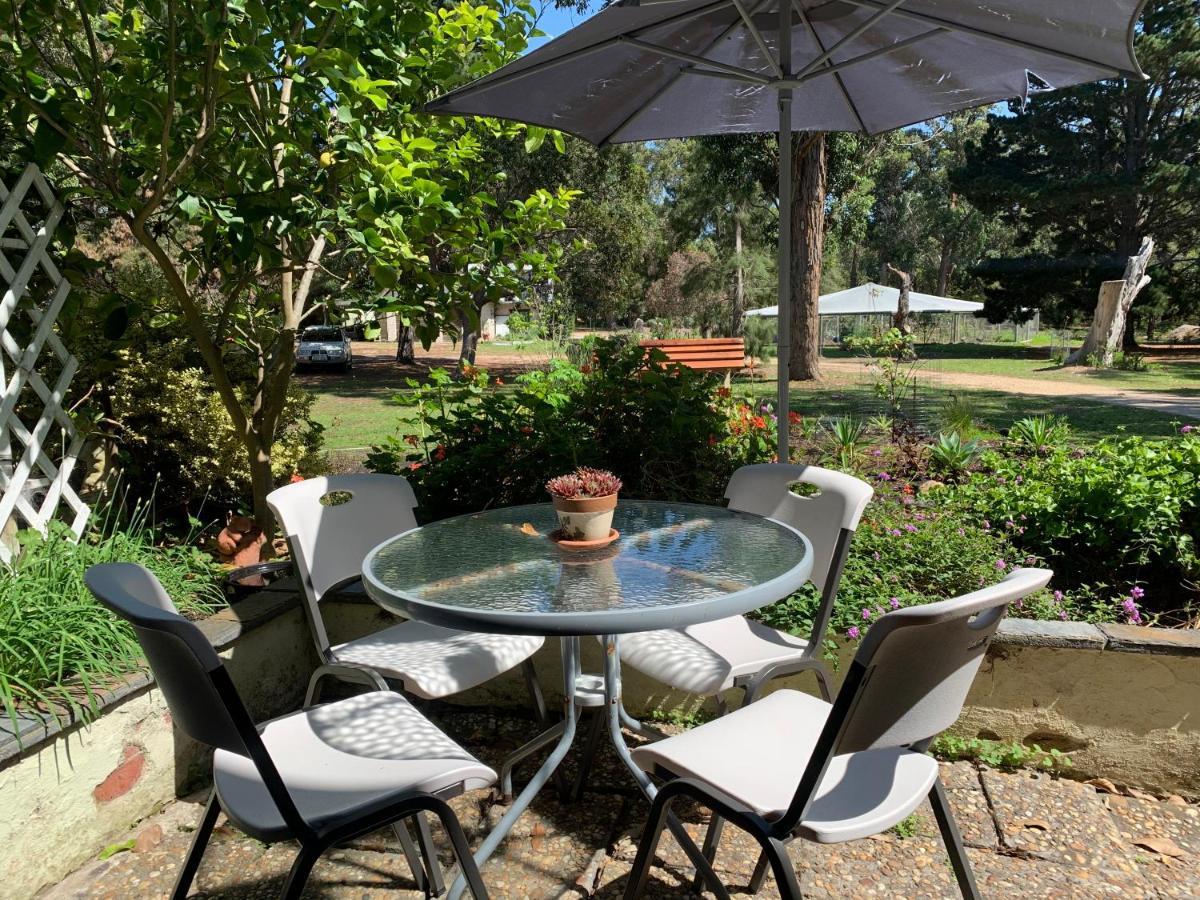 Raymond Island Swan Cove Beachfront מראה חיצוני תמונה